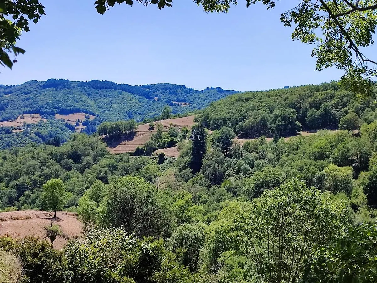 Maison Charmante A Florentin-La-Capelle Avec Vue Montagne France